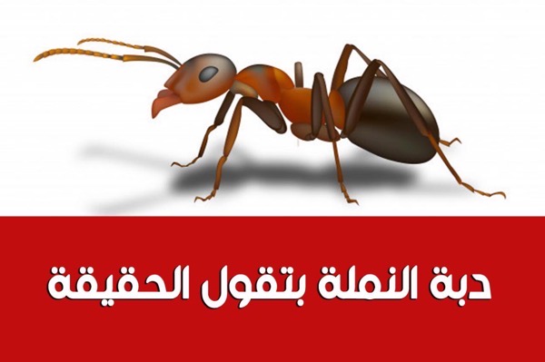 نقل رئيس شركة إنتاج لبحوث البترول بعد إحالته لخبير