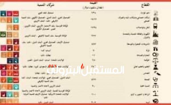 التعاون : 9.8 مليار دولار تمويلات تنموية بالتعاون مع شركاء التنمية خلال 2020