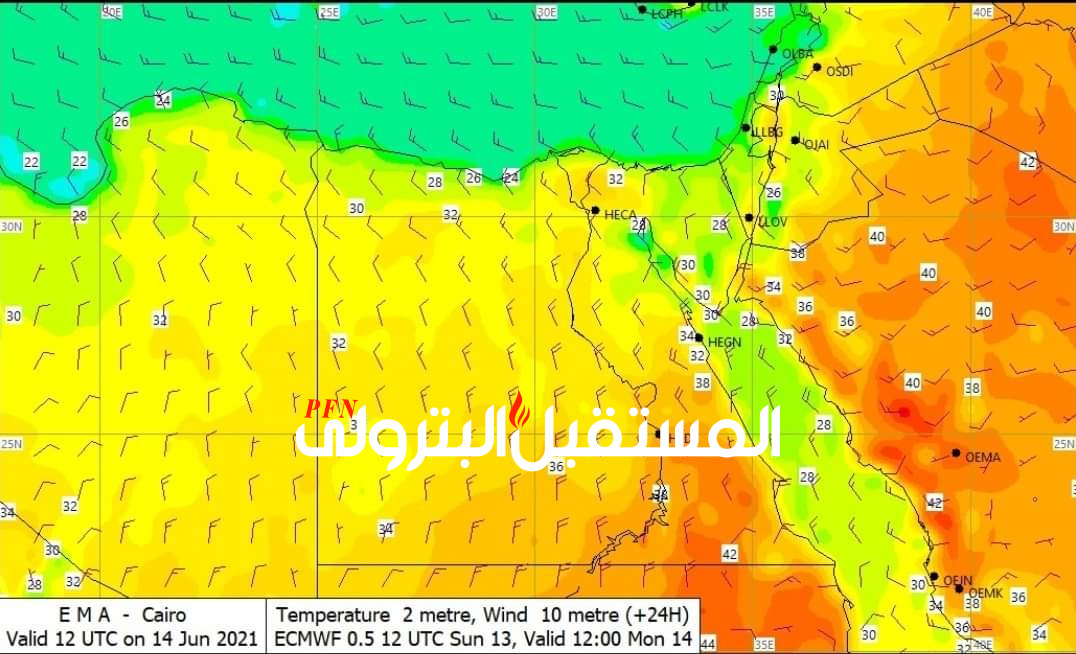 استمرار الأجواء الحاره على القاهرة والصعيد تكسر الموجة