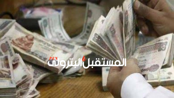 5 آلاف جنيه إعانة وفاة للعاملين في 4 جهات منها «الكهرباء»