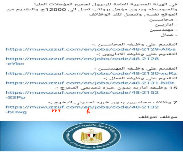 البترول: ملاحقة الصفحات التي تنشر وظائف وهمية للنصب على المواطنين