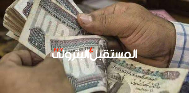 300 جنيه حافزا شهريا لجميع العاملين بالمؤسسات القومية