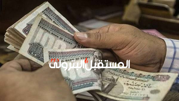 مصدر : الكهرباء تقرر صرف العلاوة ١٢ % للعاملين مع راتب أبريل