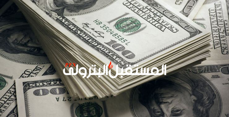 رفع سعر الدولار الجمركي إلى 19.31 جنيه