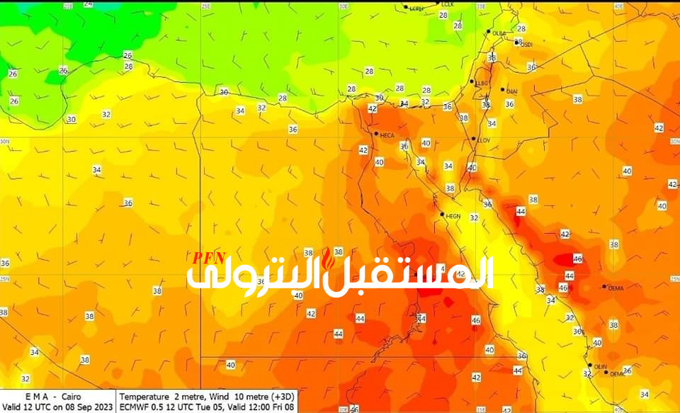 الأرصاد الجوية: أجواء شديدة الحرارة لليوم الثاني على التوالي